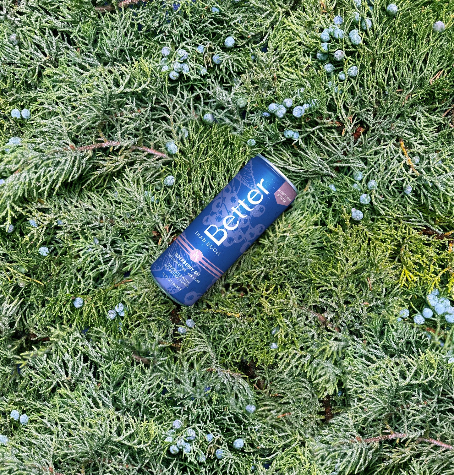 Better Than Booze - Elderberry G & T Non Alcoholic Mocktail - 12 & 24-pack cans