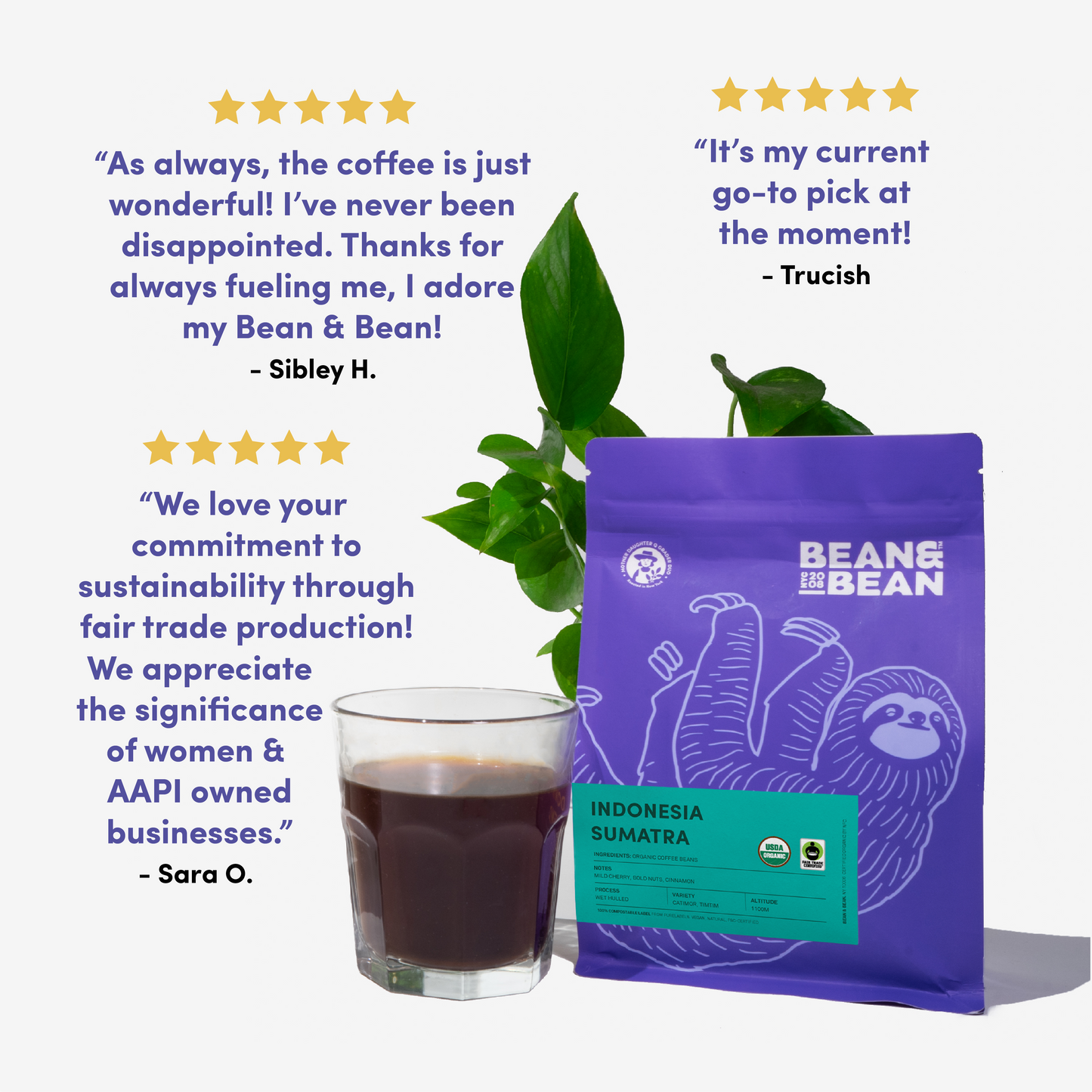 Bean & Bean Coffee Roasters - Indonesia Sumatra Coffee