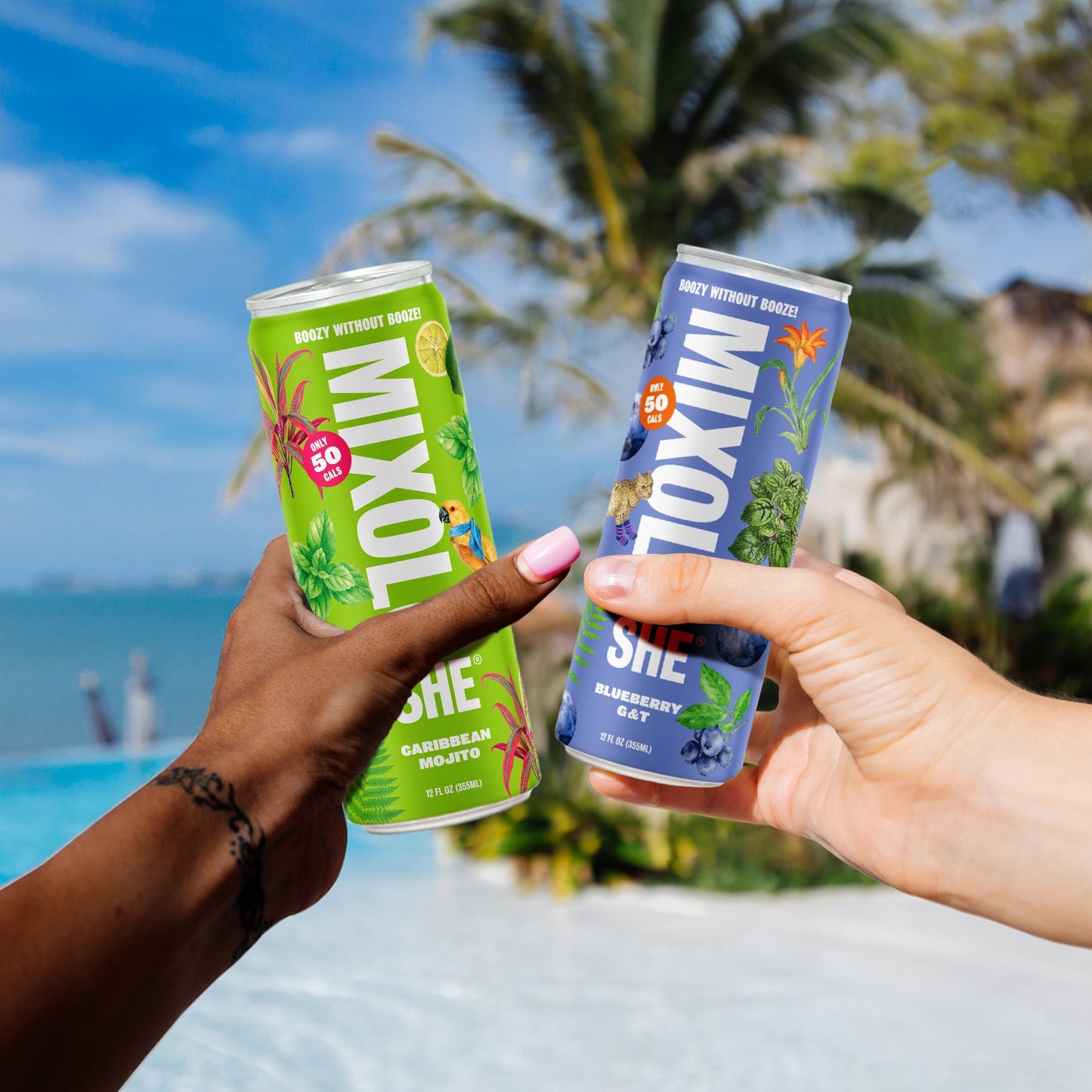 Mixoloshe - Caribbean Mojito - 12 Pack - NEW!
