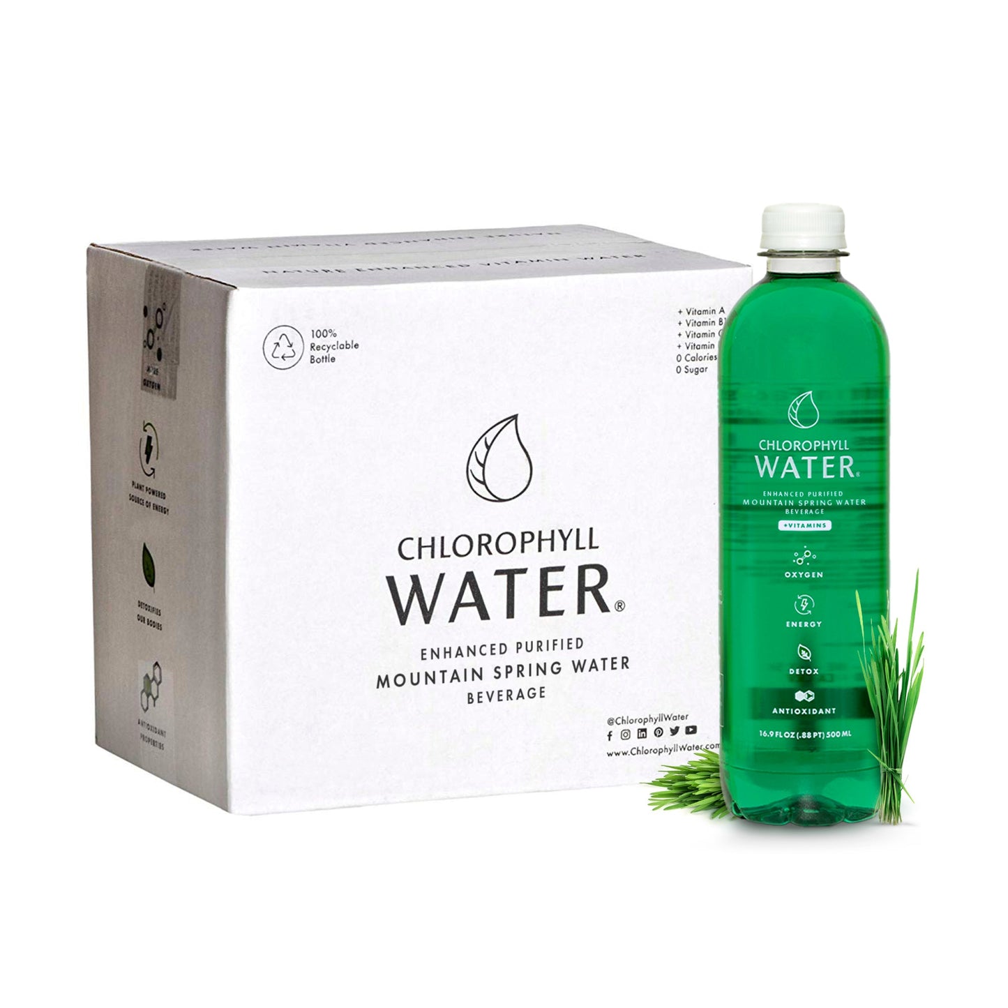 Chlorophyll Water® Mountain Spring Water with Essential Vitamins