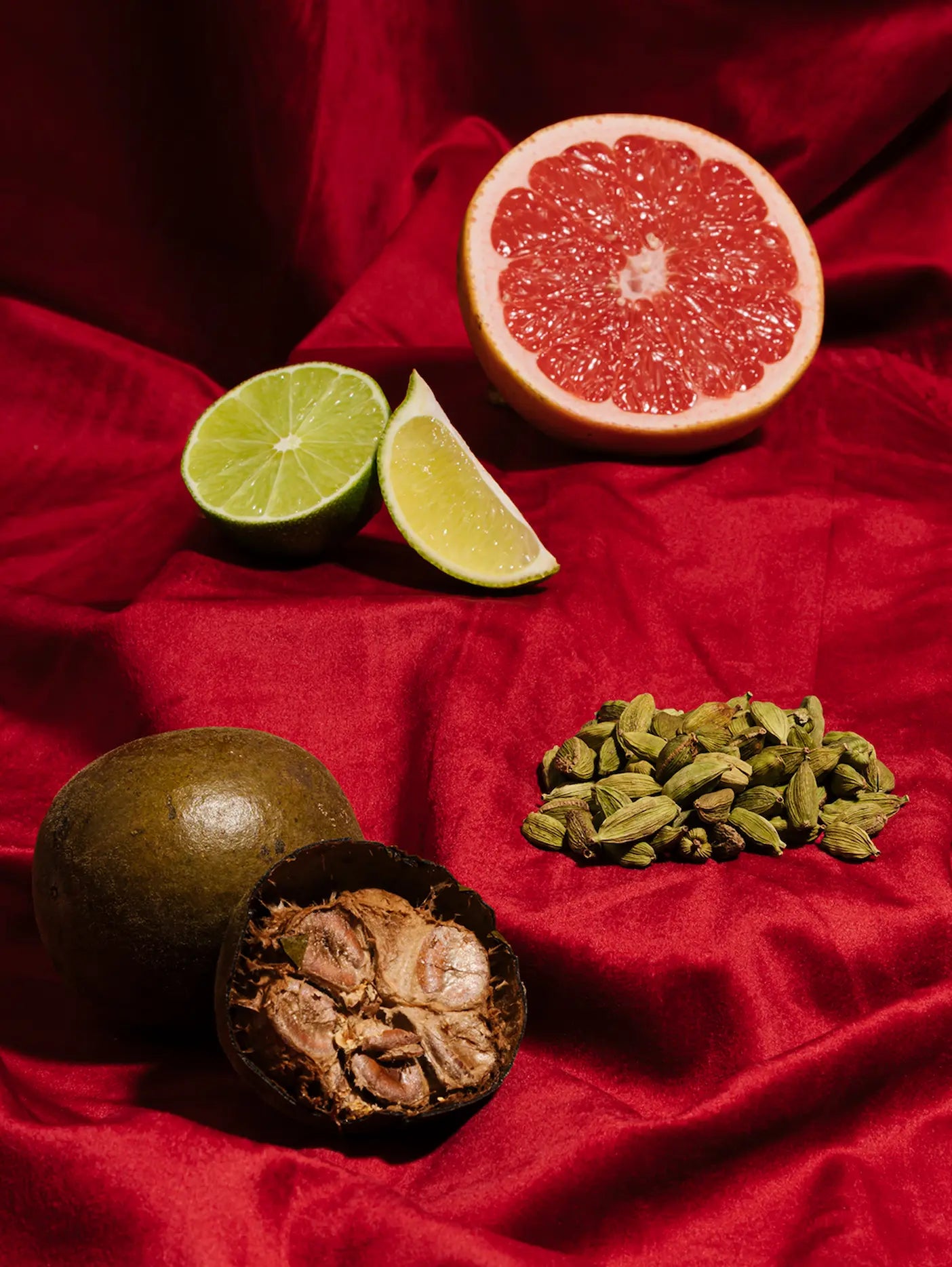 SAYSO - Skinny Cardamom Paloma (8 ct)
