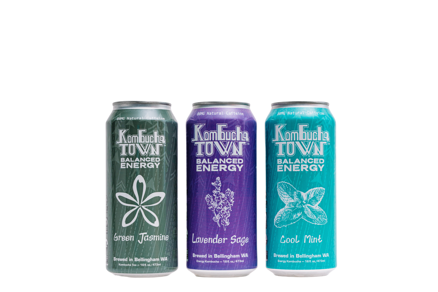 Kombucha - Variety Pack (12 16oz cans)