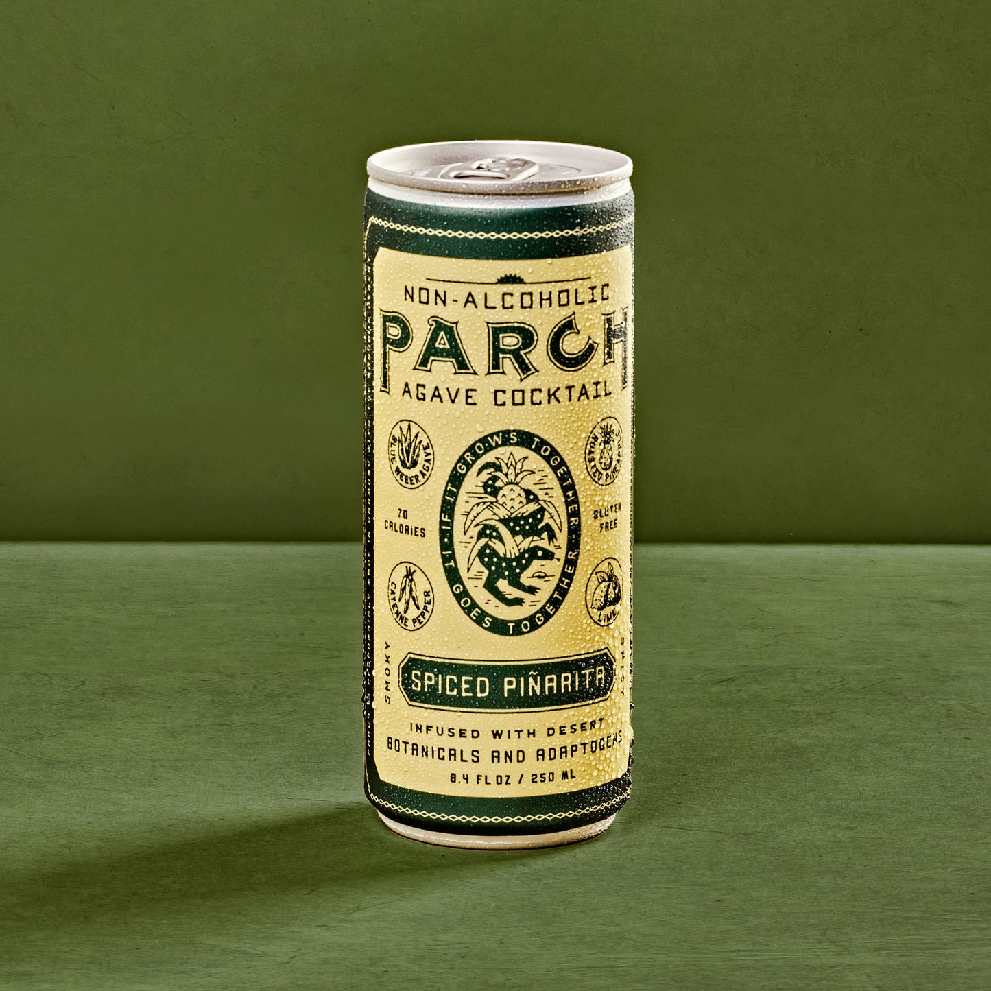 PARCH SPIRITS CO. - Spiced Piñarita 8-pack