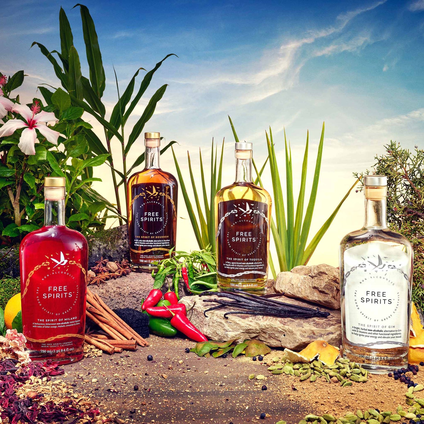 The Free Spirits Company - The Free Spirits Four