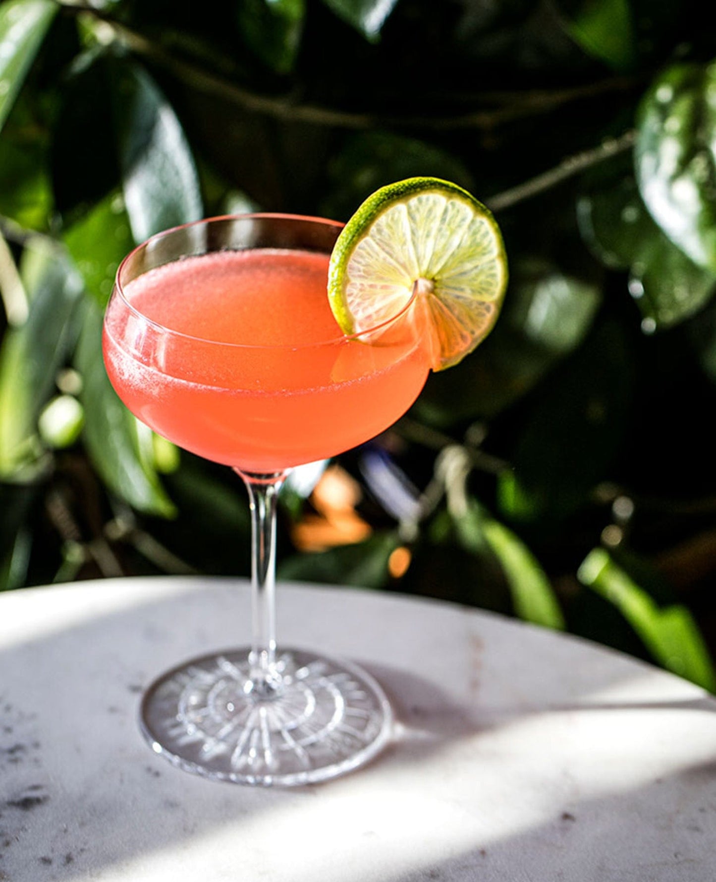 Ritual Zero Proof - Siesta Cocktail Bundle
