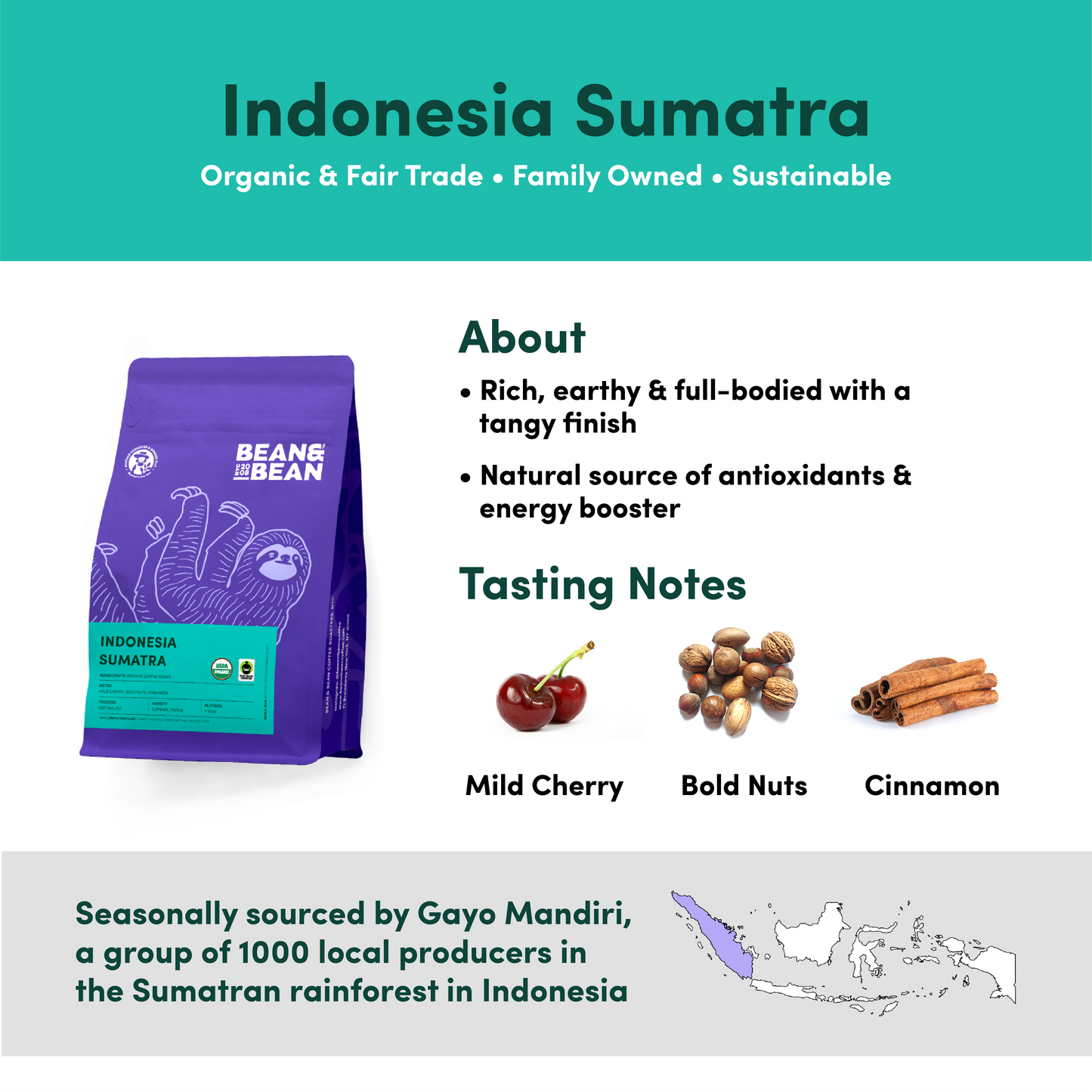 Bean & Bean Coffee Roasters - Indonesia Sumatra Coffee