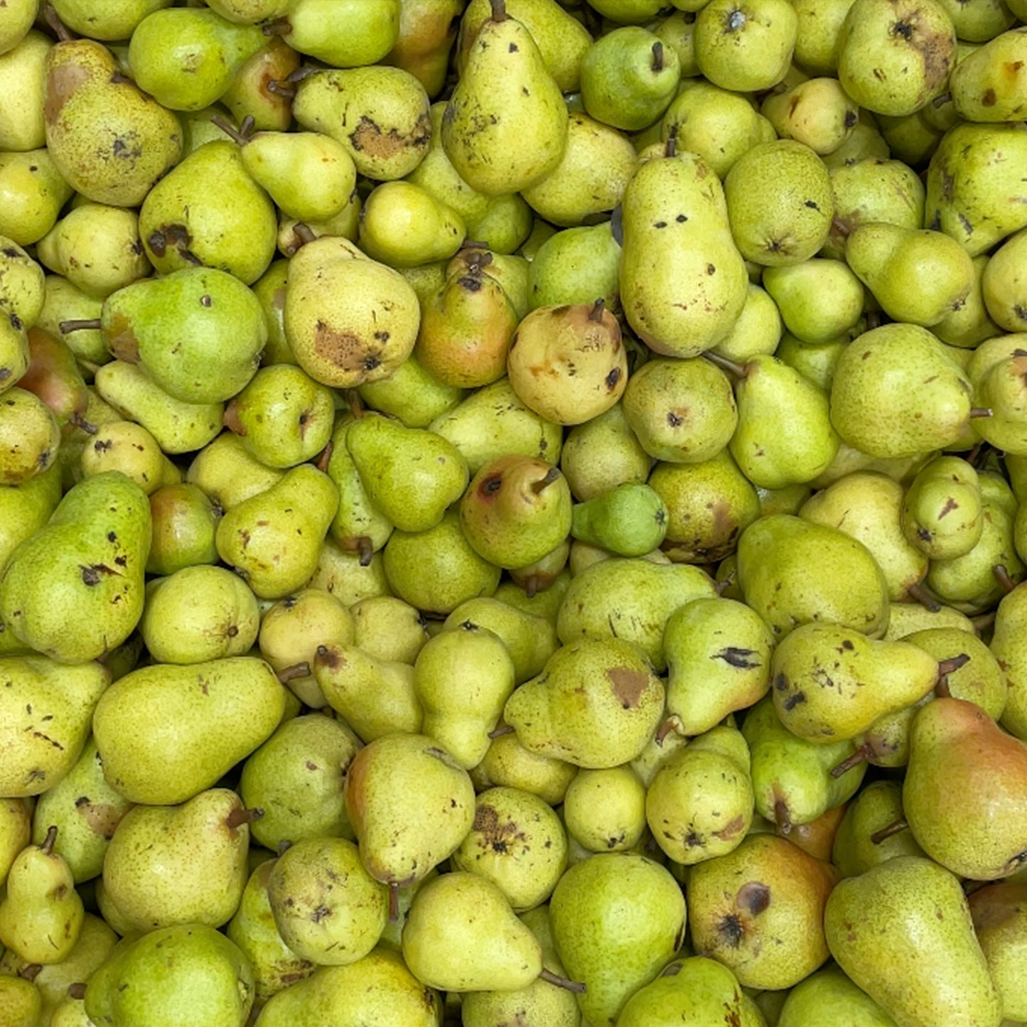 NON USA - NON2 Caramelized Pear & Kombu