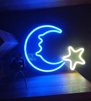 LED Neon Light, Acrylic Back Panel by Blak Hom