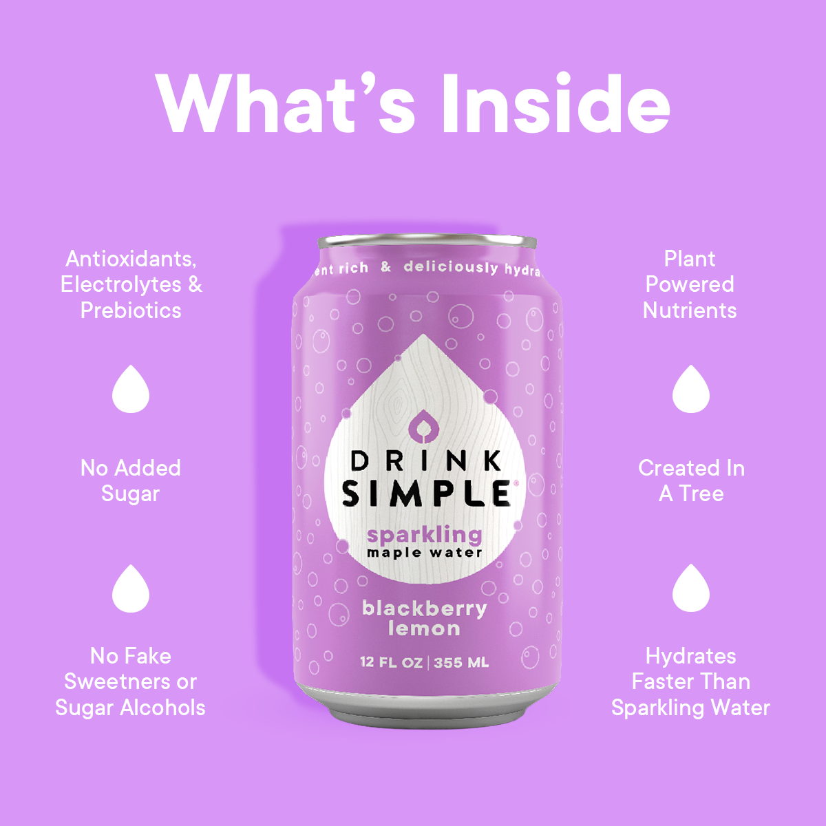 Drink Simple - Sparkling Maple Water - Blackberry Lemon - 12 Pack