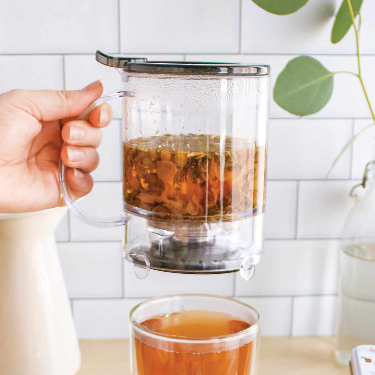 Plum Deluxe Tea - Perfect Tea Maker