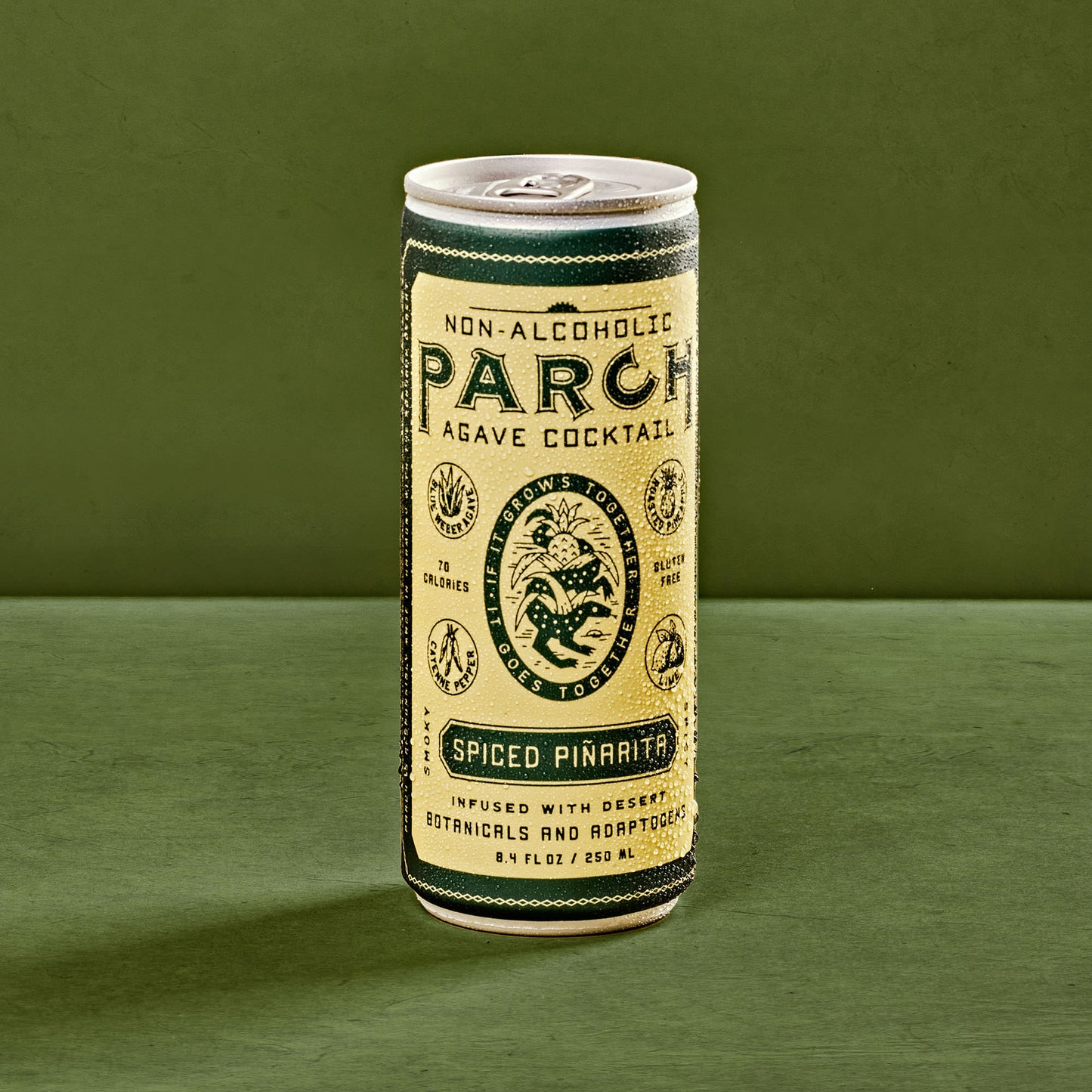 PARCH SPIRITS CO. - Spiced Piñarita  8-pack
